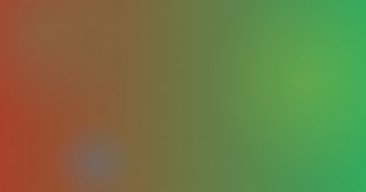 透明时装秀测评避坑流程